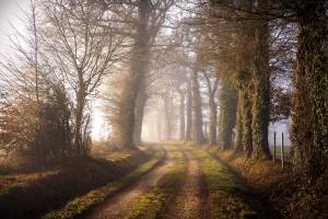 Nicolas RIFFAUD - riffaud.nicolas@gmail.com